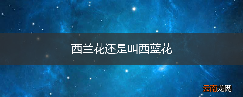 西兰花还是叫西蓝花