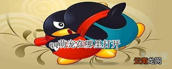 qq萌宠在哪里打开