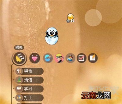 qq萌宠在哪里打开