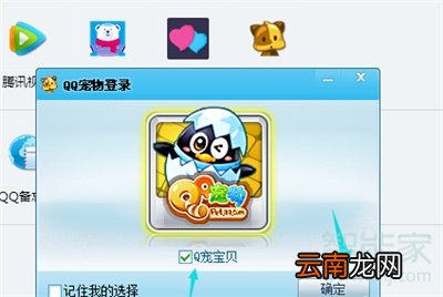 qq萌宠在哪里打开
