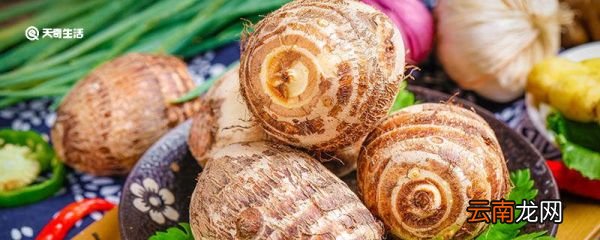 南薯是什么 南薯指的是什么