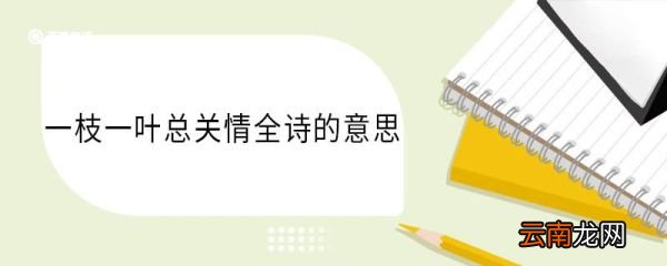 一枝一叶总关情全诗的意思 一枝一叶总关情全诗的翻译