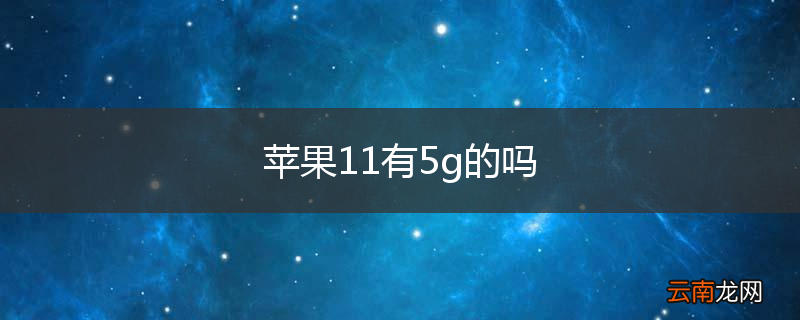 苹果11有5g的吗