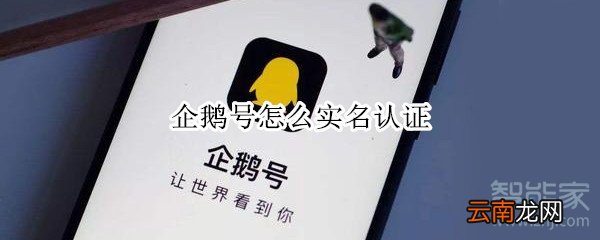 企鹅号怎么实名认证