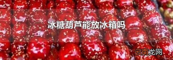 冰糖葫芦能放冰箱吗