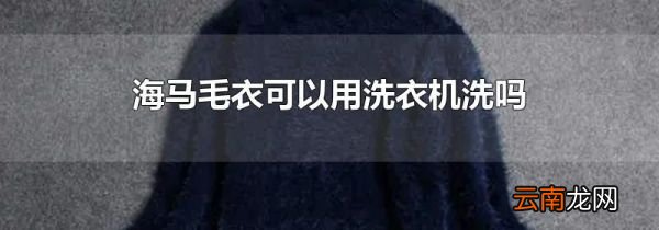 海马毛衣可以用洗衣机洗吗