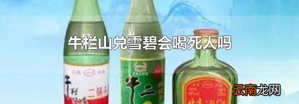 牛栏山兑雪碧会喝死人吗