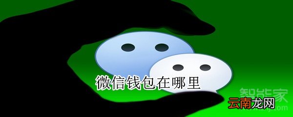 微信钱包在哪里