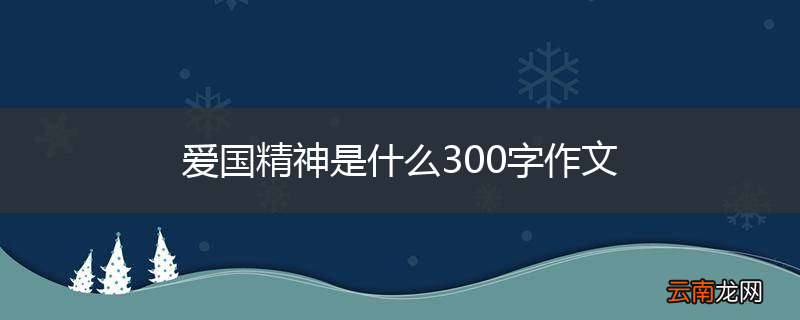 爱国精神是什么300字作文