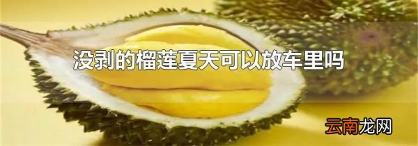 没剥的榴莲夏天可以放车里吗