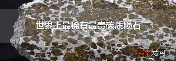 世界上最稀有最贵碳质陨石