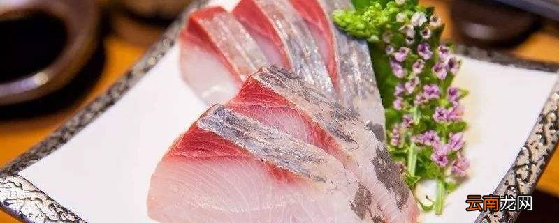 hamachi是什么鱼