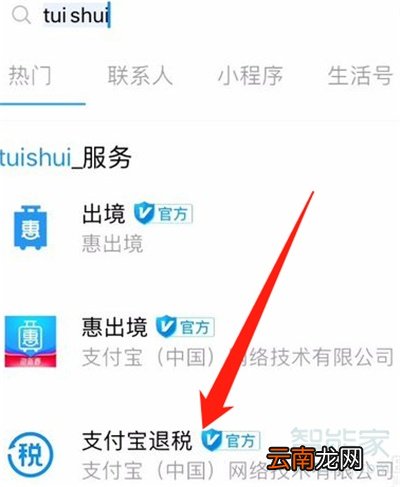支付宝在哪里看退税