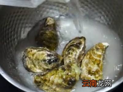 怎么洗生蚝