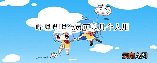 哔哩哔哩会员可以几个人用