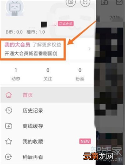 哔哩哔哩会员可以几个人用