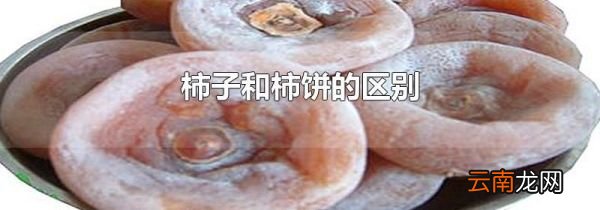 柿子和柿饼的区别
