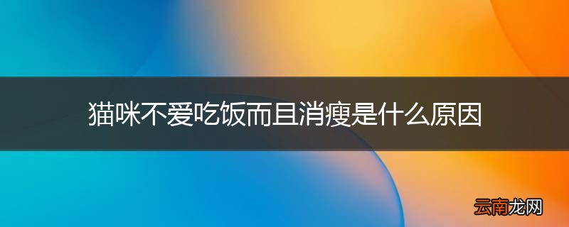 猫咪不爱吃饭而且消瘦是什么原因