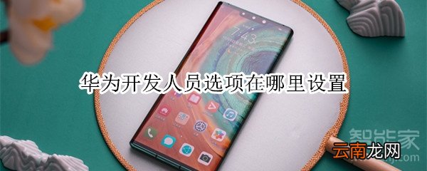 华为开发人员选项在哪里设置