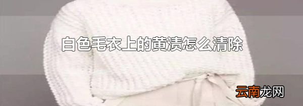 白色毛衣上的黄渍怎么清除