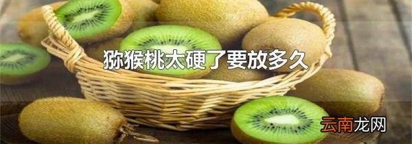 猕猴桃太硬了要放多久