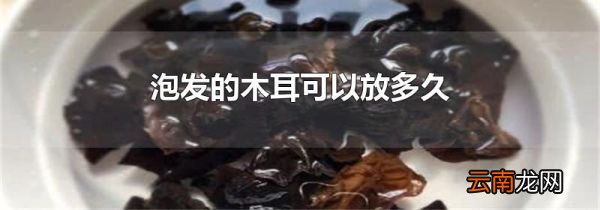 泡发的木耳可以放多久