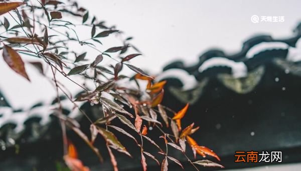小雨的降雨量是多少 小雨的降水量为多少