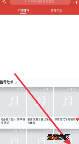 网易云歌词翻译不显示怎么办?歌词翻译开启设置方法介绍