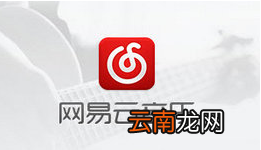网易云歌词翻译不显示怎么办?歌词翻译开启设置方法介绍