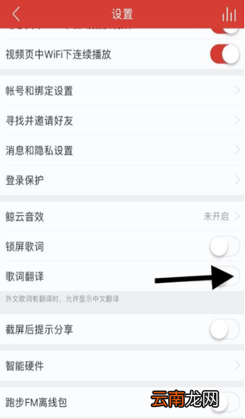 网易云歌词翻译不显示怎么办?歌词翻译开启设置方法介绍