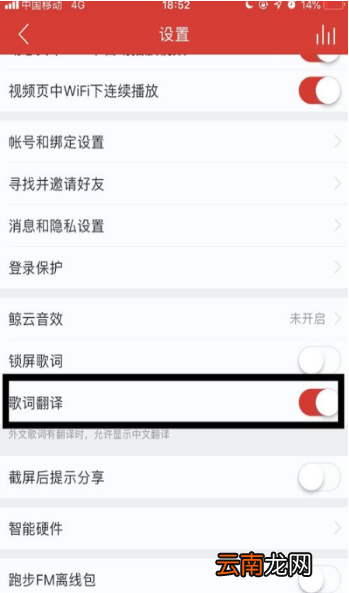 网易云歌词翻译不显示怎么办?歌词翻译开启设置方法介绍