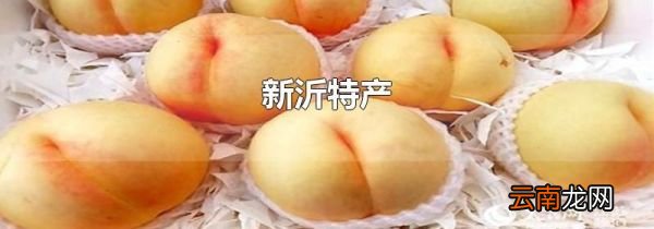 新沂特产
