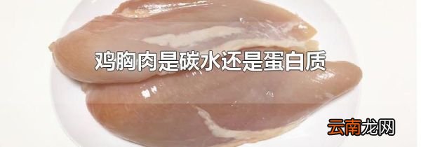 鸡胸肉是碳水还是蛋白质