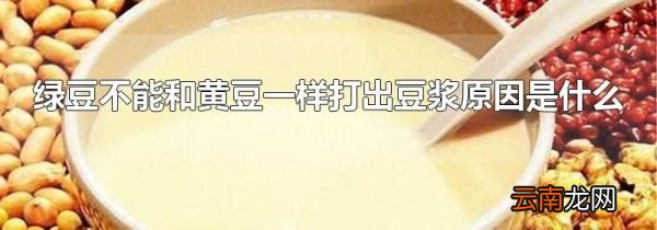 绿豆不能和黄豆一样打出豆浆原因是什么