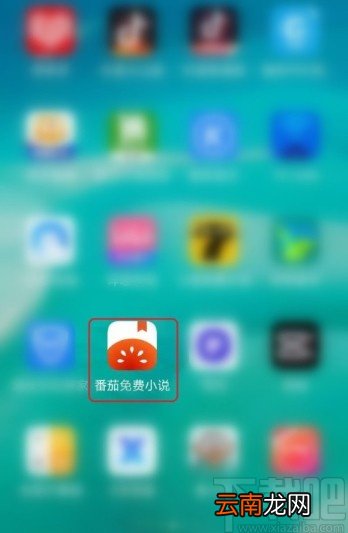 番茄免费小说APP清理缓存的操作方法