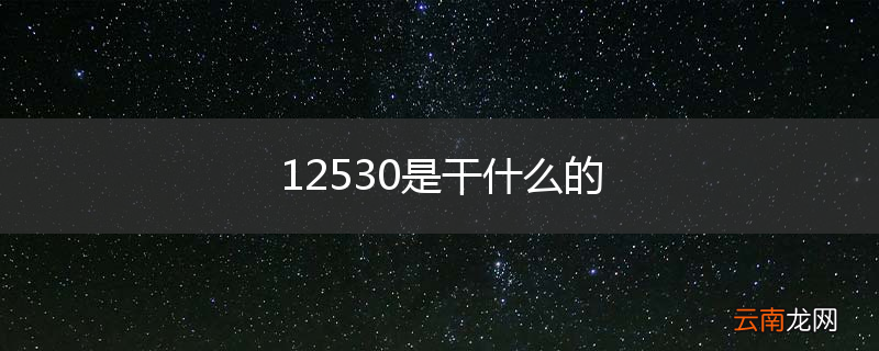 12530是干什么的