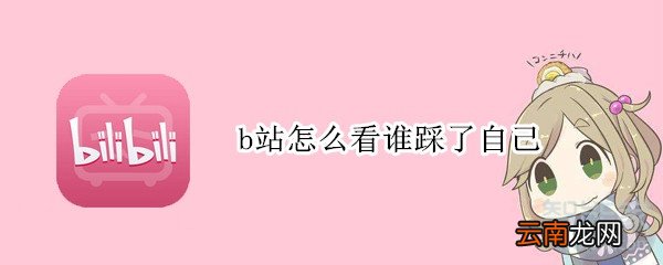 b站怎么看谁踩了自己
