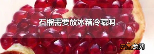 石榴需要放冰箱冷藏吗