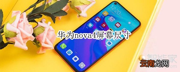 华为nova4屏幕尺寸