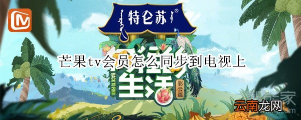 芒果tv会员怎么同步到电视上