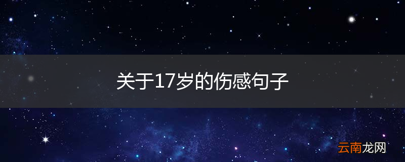 关于17岁的伤感句子