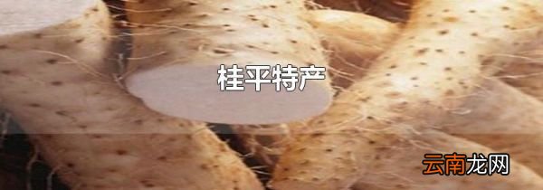 桂平特产
