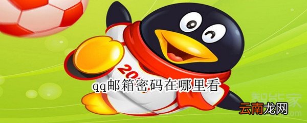 qq邮箱密码在哪里看