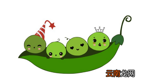 豌豆荚如何备份手机？备份手机数据教程分享