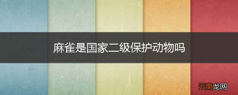 麻雀是国家二级保护动物吗