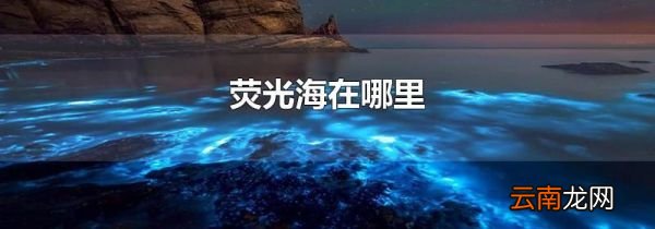 荧光海在哪里