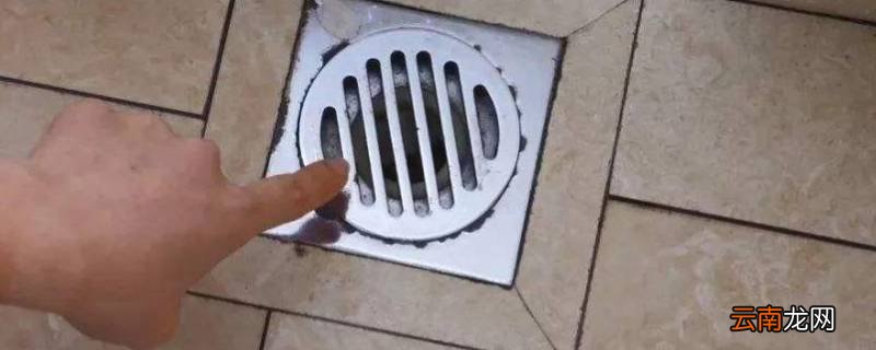 纸堵下水道能化开吗