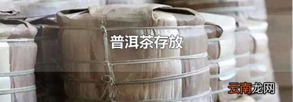 普洱茶存放