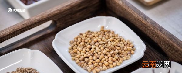 耶香子豆是什么东西 耶香子豆是什么