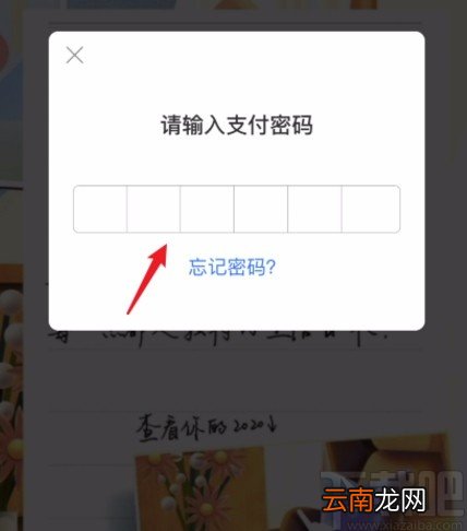 支付宝APP查看2020年度账单的方法